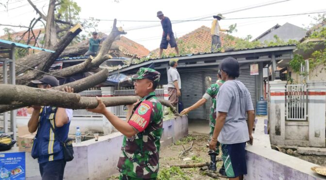 Babinsa Pabedilan Kidul Bantu Pembersihan Pohon Tumbang