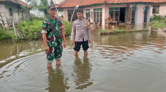 MONITORING AIR LAUT PASANG/ROB DI DUSUN 2 BLOK KARANG MULYA, DESA TAWANGSARI KECAMATAN LOSARI