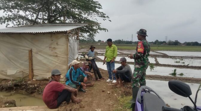 Anjangsana DI pesawahan Luwung kencana