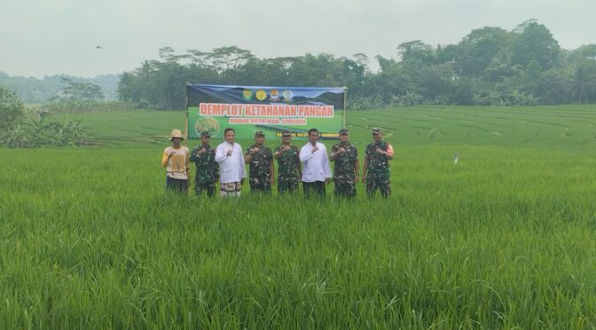 Babinsa Matangaji Laksanakan Pendampingan Pertanian