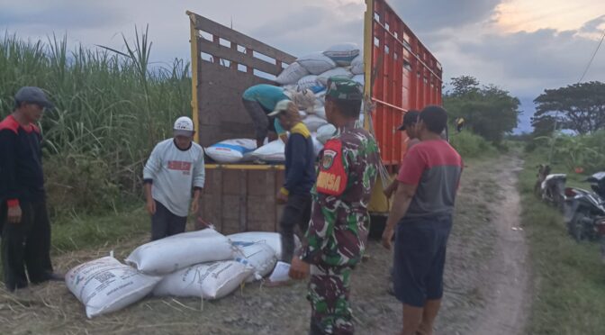 PENDAMPINGAN PENJUALAN GABAH HASIL PANEN PADI