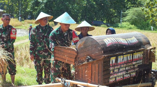 Wujudkan Ketahanan Pangan, Dandim 0614/Kota Cirebon Pimpin Panen Perdana di Lahan Poktan Sidemung.