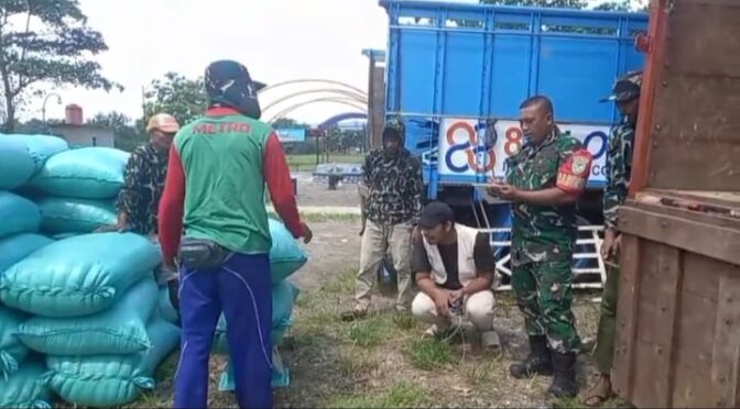 Babinsa Koramil 0620-13/Sumber Dampingi Serap Gabah Petani di Kelurahan Tukmudal