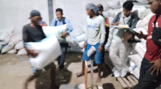 Babinsa Desa Kalibaru Dampingi Penyerapan Gabah oleh Bulog Cirebon
