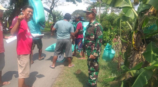 Kegiatan Pendampingan Ketahanan Pangan oleh Anggota Koramil 0620-20/Gegesik Serma Matori di Desa Bayalangu Kidul