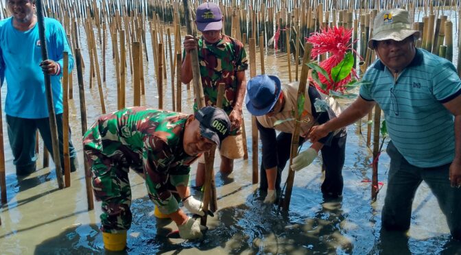 Babinsa Kesepuhan Ikuti Kegiatan Penanaman Mangrove dan Clean Up di Pesisir Pantai.